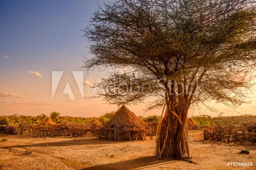 Picture of Hamer village near Turmi Ethiopia